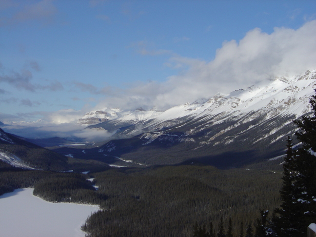 DSC04360